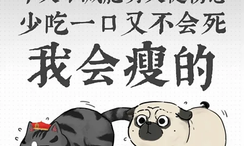 【10206】动漫创意壁纸  4K 超清壁纸1381_3072@青蛙壁纸-笨猫小站