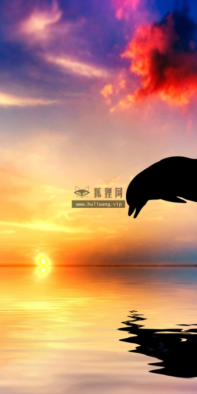 【10226】动物壁纸 海洋 海豚 日落  2K 高清壁纸2560_1600@青蛙壁纸-笨猫小站