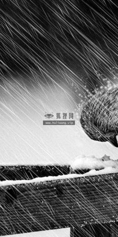 【10441】壁纸  2K 高清壁纸2560_1600@青蛙壁纸-笨猫小站
