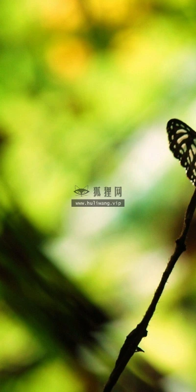 【10476】壁纸  2K 高清壁纸2560_1600@青蛙壁纸-笨猫小站