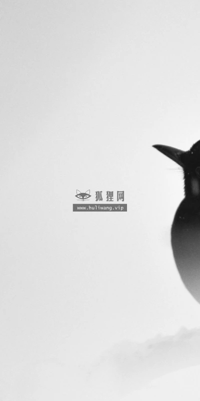 【10548】动物壁纸  2K 高清壁纸2560_1600@青蛙壁纸-笨猫小站