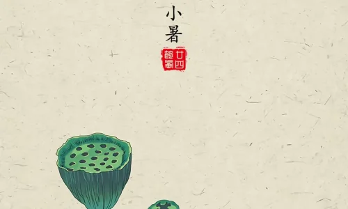 【10629】创意壁纸  4K 超清壁纸1280_2794@青蛙壁纸-笨猫小站