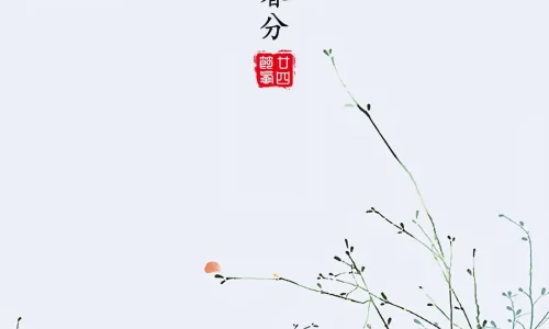 【10642】创意壁纸  4K 超清壁纸1280_2794@青蛙壁纸-笨猫小站