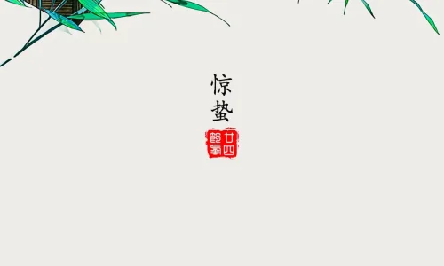 【10639】创意壁纸  4K 超清壁纸1280_2794@青蛙壁纸-笨猫小站