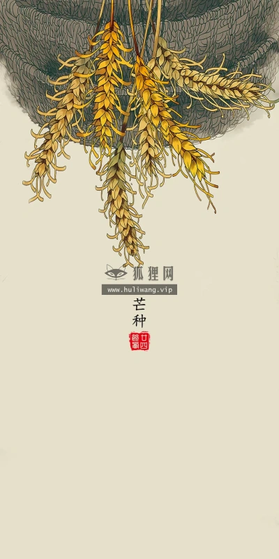 【10644】创意壁纸  4K 超清壁纸1280_2794@青蛙壁纸-笨猫小站