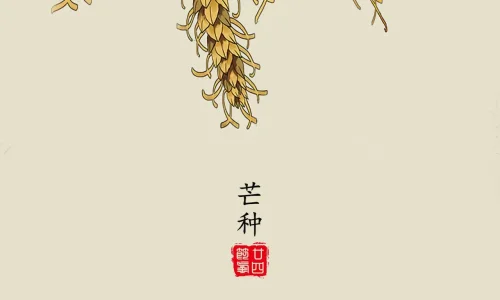 【10644】创意壁纸  4K 超清壁纸1280_2794@青蛙壁纸-笨猫小站