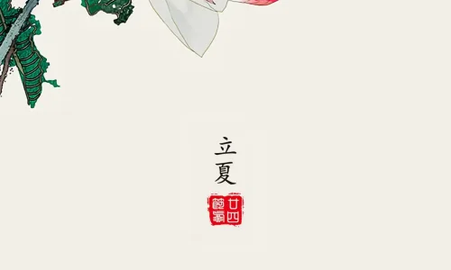 【10643】创意壁纸  4K 超清壁纸1280_2794@青蛙壁纸-笨猫小站