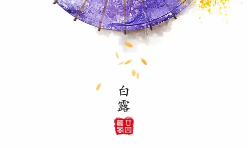 【10640】创意壁纸  4K 超清壁纸1280_2794@青蛙壁纸-笨猫小站