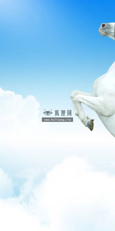 【10904】动物壁纸  2K 高清壁纸2560_1600@青蛙壁纸-笨猫小站