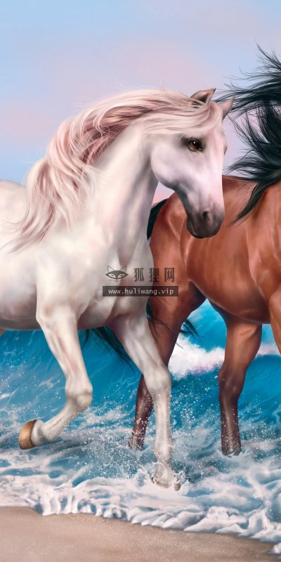 【10941】动物壁纸  2K 高清壁纸2560_1600@青蛙壁纸-笨猫小站