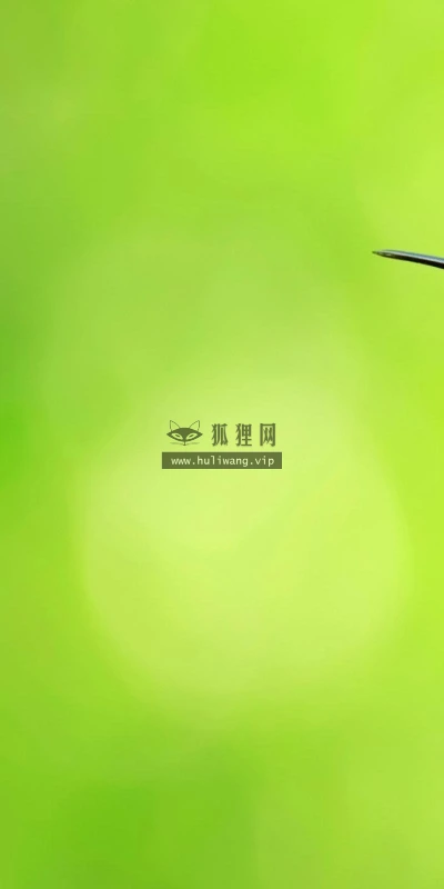 【10959】动物壁纸  2K 高清壁纸2560_1600@青蛙壁纸-笨猫小站