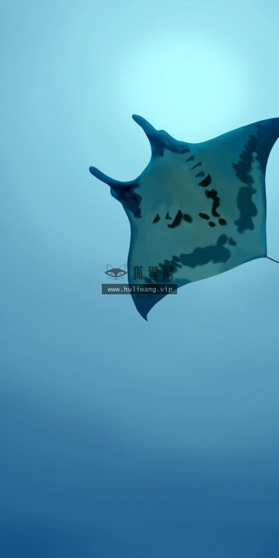 【11139】动物壁纸  2K 高清壁纸2560_1600@青蛙壁纸-笨猫小站
