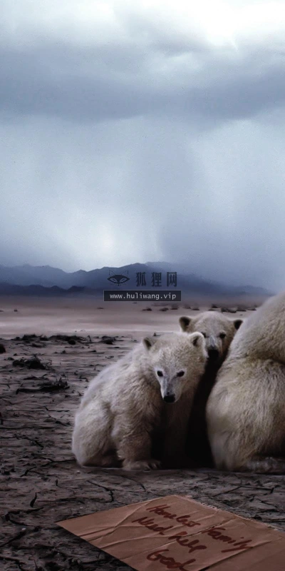 【11161】动物壁纸  2K 高清壁纸2560_1600@青蛙壁纸-笨猫小站