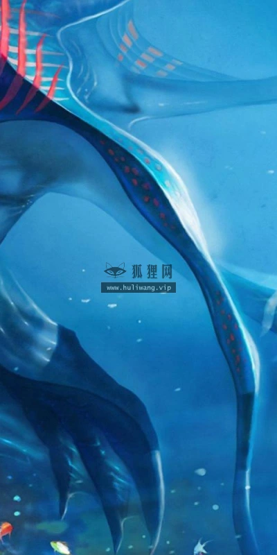 【11165】动物壁纸  2K 高清壁纸2560_1600@青蛙壁纸-笨猫小站