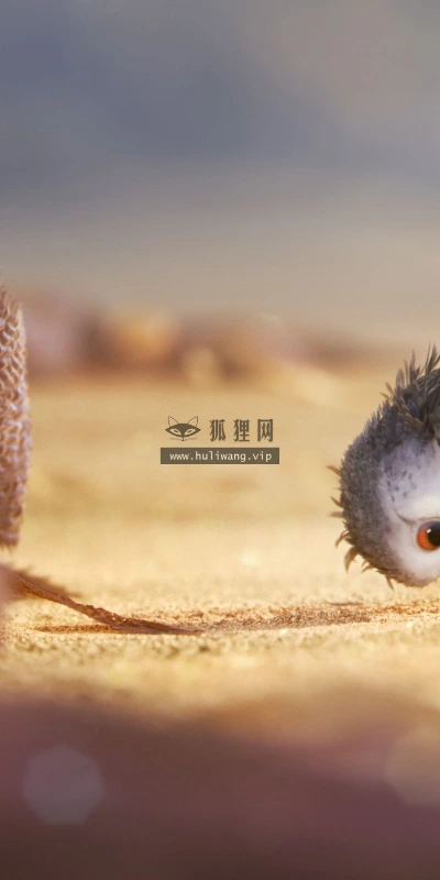 【11313】动物壁纸  2K 高清壁纸2560_1600@青蛙壁纸-笨猫小站