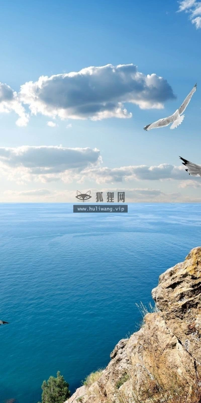 【11388】动物壁纸  2K 高清壁纸2560_1600@青蛙壁纸-笨猫小站