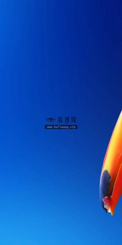 【11529】动物壁纸  2K 高清壁纸2560_1600@青蛙壁纸-笨猫小站