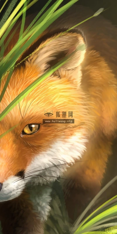 【11652】动物壁纸  2K 高清壁纸2880_1800@青蛙壁纸-笨猫小站
