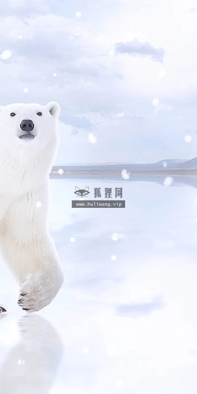 【11656】动物壁纸  2K 高清壁纸2880_1800@青蛙壁纸-笨猫小站