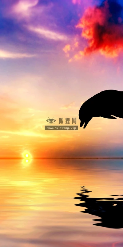 【11699】动物壁纸  4K 超清壁纸3840_2400@青蛙壁纸-笨猫小站