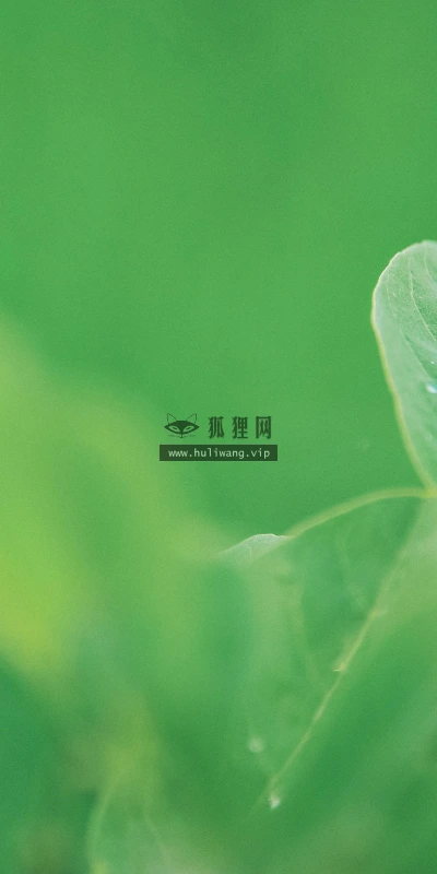 【11857】植物壁纸  4K 超清壁纸3840_2400@青蛙壁纸-笨猫小站
