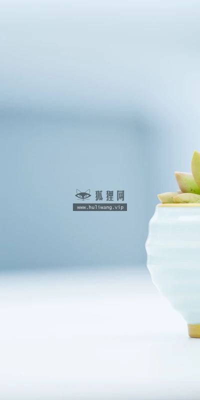 【11881】植物壁纸  4K 超清壁纸3840_2400@青蛙壁纸-笨猫小站
