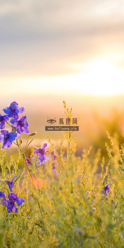 【11884】植物壁纸  4K 超清壁纸3840_2400@青蛙壁纸-笨猫小站