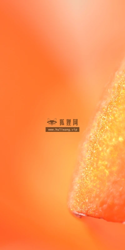【11895】植物壁纸  4K 超清壁纸3840_2400@青蛙壁纸-笨猫小站