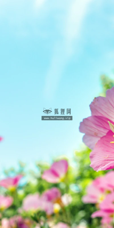 【11906】植物壁纸  4K 超清壁纸3840_2400@青蛙壁纸-笨猫小站