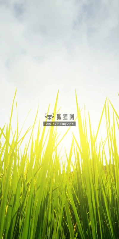 【12026】植物壁纸  2K 高清壁纸2880_1800@青蛙壁纸-笨猫小站