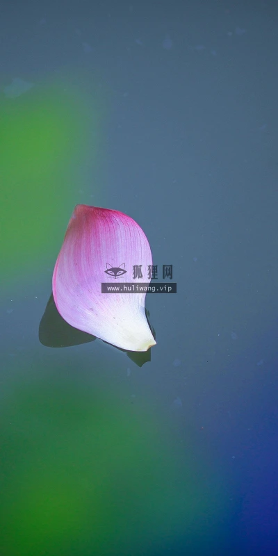 【12027】植物壁纸  2K 高清壁纸2880_1800@青蛙壁纸-笨猫小站