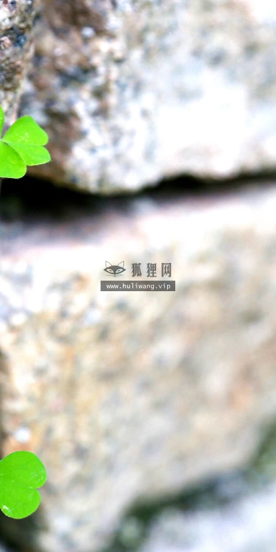 【12046】植物壁纸  2K 高清壁纸2880_1800@青蛙壁纸-笨猫小站