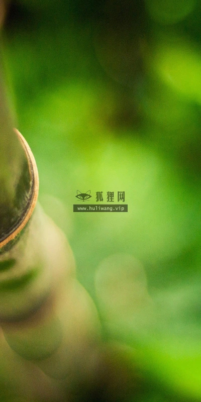 【12138】植物壁纸  2K 高清壁纸2560_1600@青蛙壁纸-笨猫小站