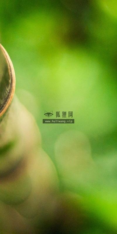 【12142】植物壁纸  2K 高清壁纸2560_1600@青蛙壁纸-笨猫小站
