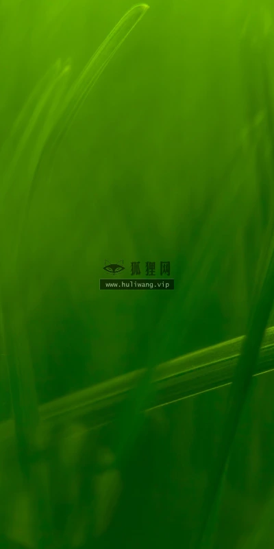 【12259】植物壁纸  2K 高清壁纸2560_1600@青蛙壁纸-笨猫小站