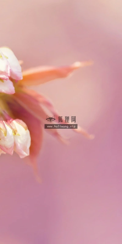 【12269】壁纸  2K 高清壁纸2560_1600@青蛙壁纸-笨猫小站