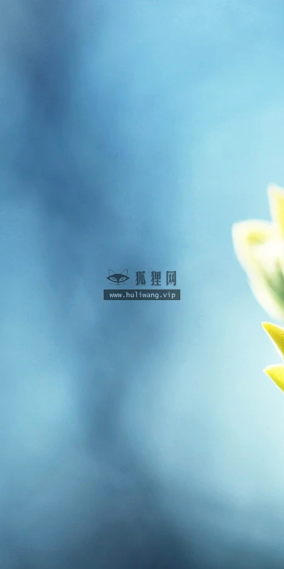 【12300】植物壁纸  2K 高清壁纸2560_1600@青蛙壁纸-笨猫小站