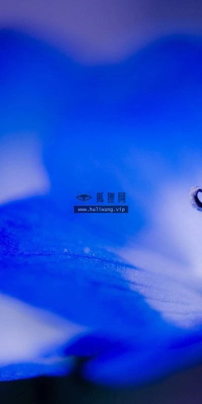 【12316】植物壁纸  2K 高清壁纸2560_1600@青蛙壁纸-笨猫小站