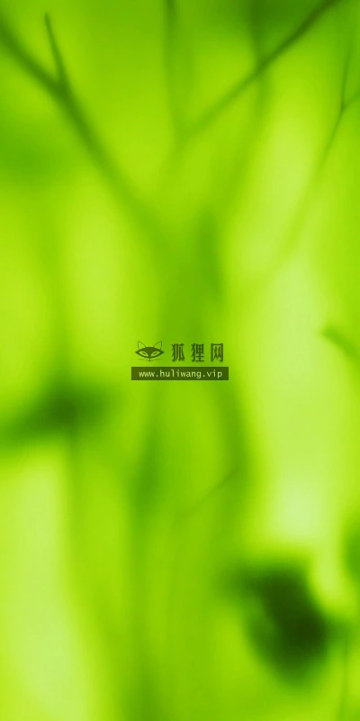 【12343】植物壁纸  2K 高清壁纸2560_1600@青蛙壁纸-笨猫小站