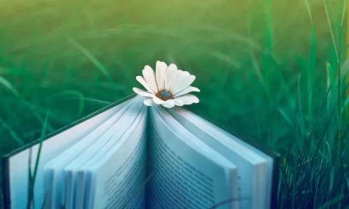 【12347】植物壁纸  2K 高清壁纸2560_1600@青蛙壁纸-笨猫小站