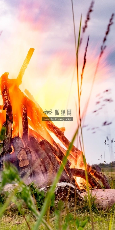 【12372】植物壁纸  2K 高清壁纸2560_1600@青蛙壁纸-笨猫小站