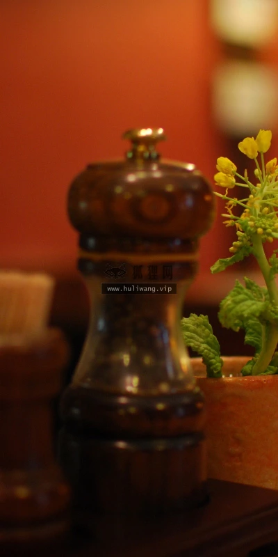 【12397】植物壁纸  2K 高清壁纸2560_1600@青蛙壁纸-笨猫小站