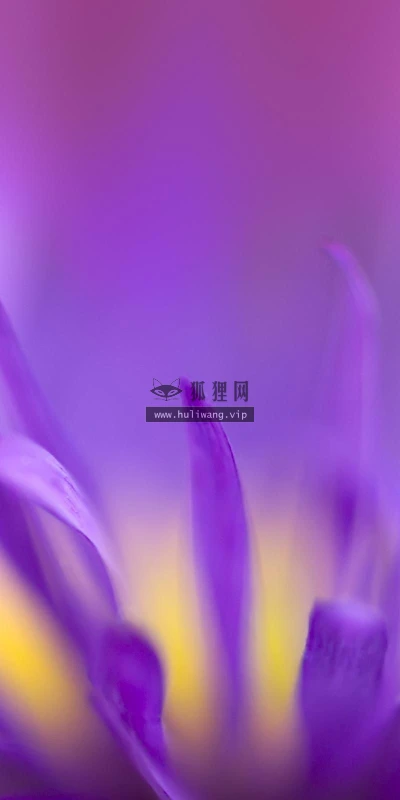 【12414】植物壁纸  2K 高清壁纸2560_1600@青蛙壁纸-笨猫小站