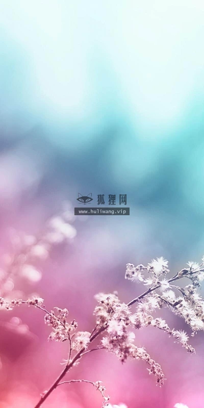 【12443】植物壁纸  2K 高清壁纸2560_1600@青蛙壁纸-笨猫小站