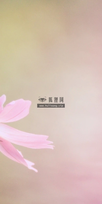 【12458】植物壁纸  2K 高清壁纸2560_1600@青蛙壁纸-笨猫小站