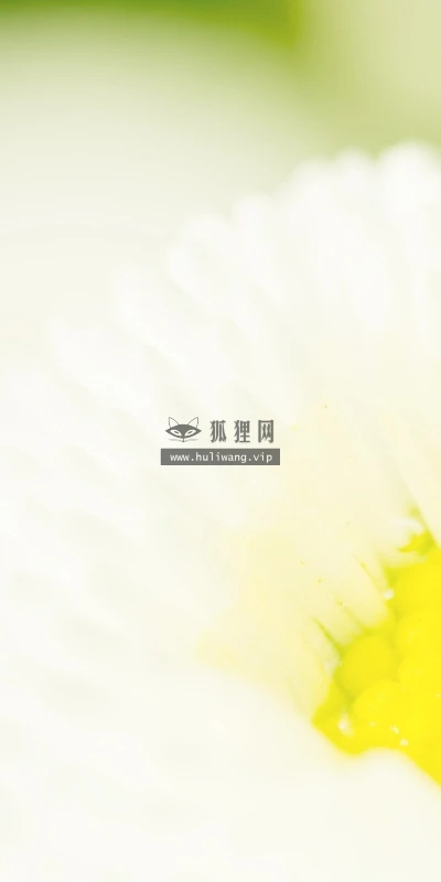 【12474】植物壁纸  2K 高清壁纸2560_1600@青蛙壁纸-笨猫小站