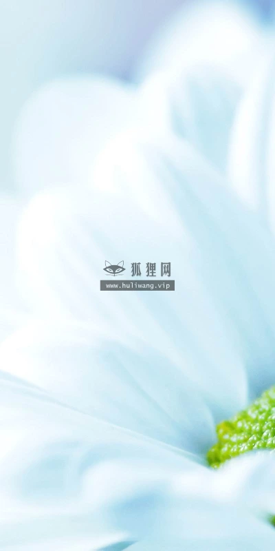 【12475】植物壁纸  2K 高清壁纸2560_1600@青蛙壁纸-笨猫小站