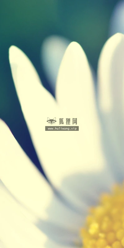 【12499】植物壁纸  2K 高清壁纸2560_1600@青蛙壁纸-笨猫小站