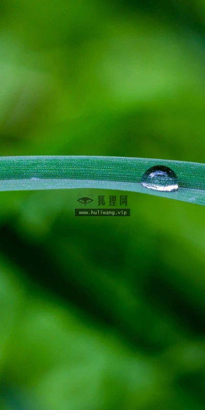 【12507】壁纸  2K 高清壁纸2560_1600@青蛙壁纸-笨猫小站