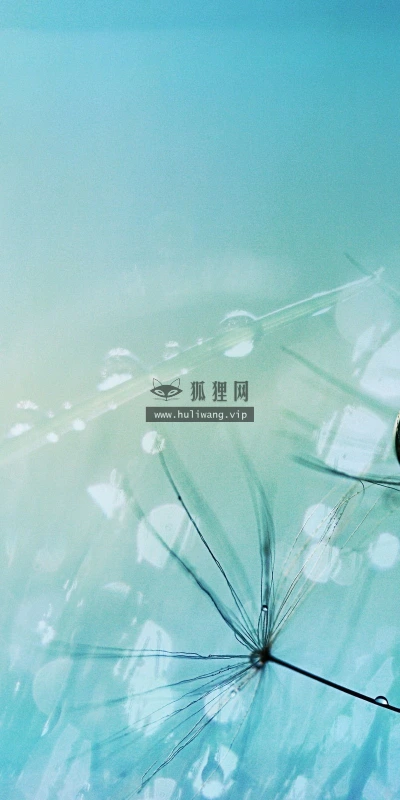 【12512】壁纸  2K 高清壁纸2560_1600@青蛙壁纸-笨猫小站